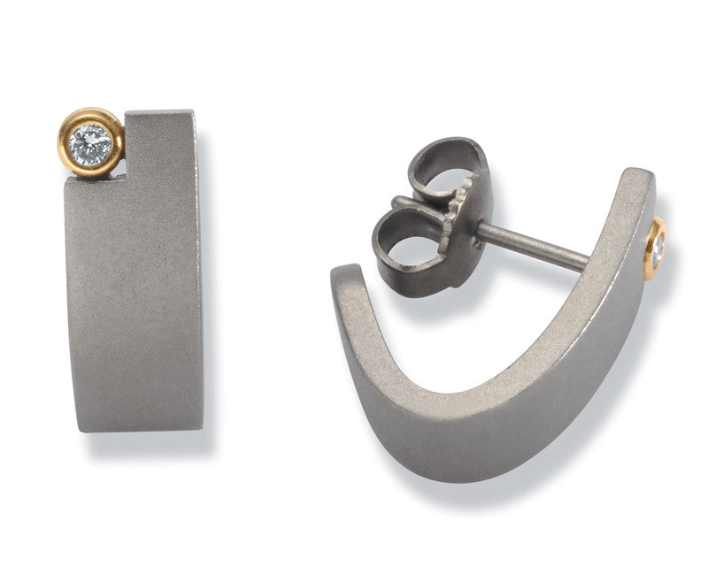 24032-01 TeNo Titanium Earrings