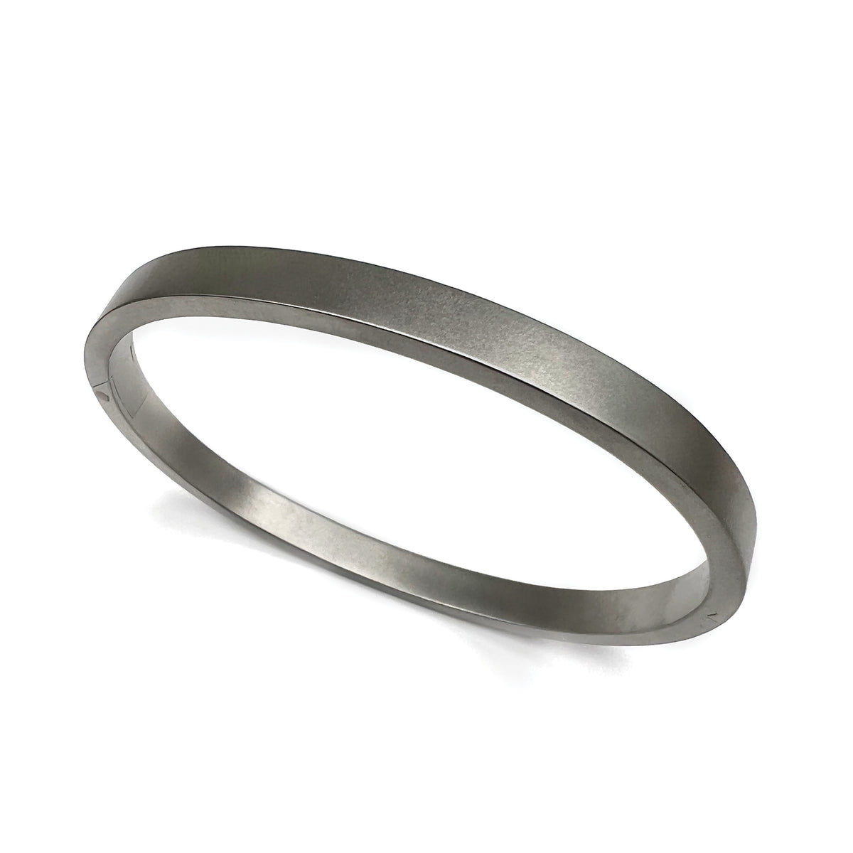 60296-01 TeNo Stainless Steel 6mm Bangle – TenoUSA
