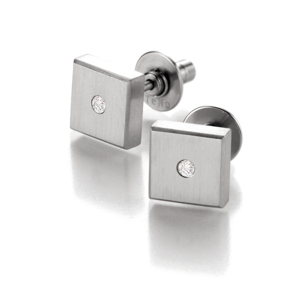039.1312.00 TeNo Stainless Steel Earrings