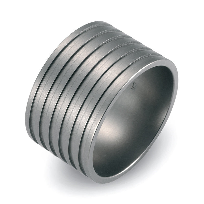 51009-01 TeNo Titanium Ring 