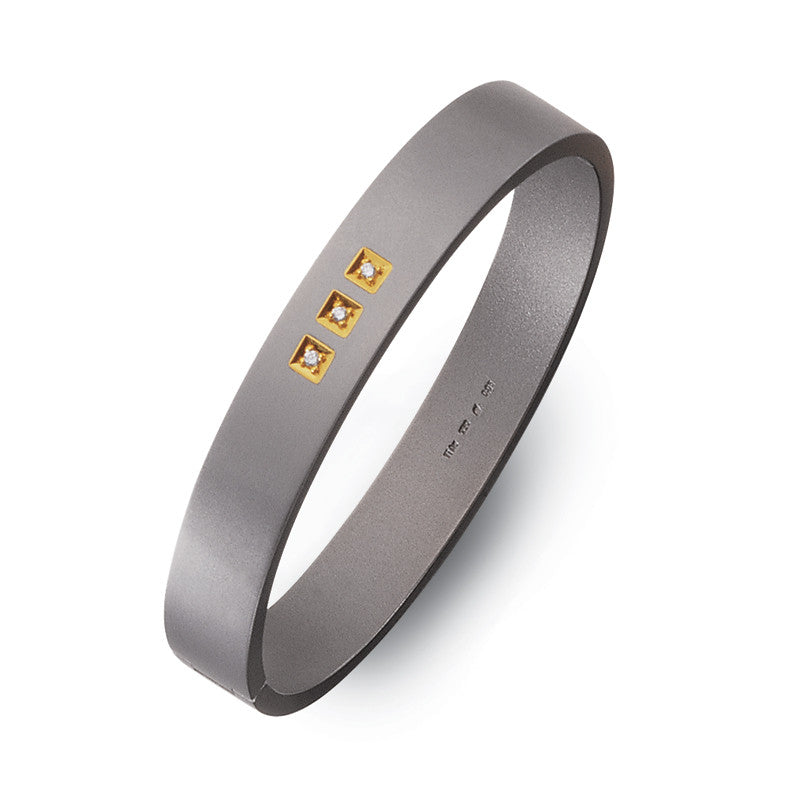 60204-01 Teno Titanium Bangle